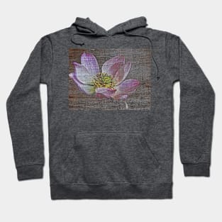 Lotus from Thailand Hoodie